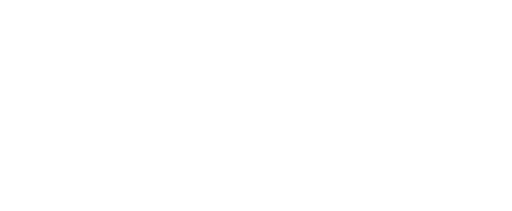 Born Perfect logo